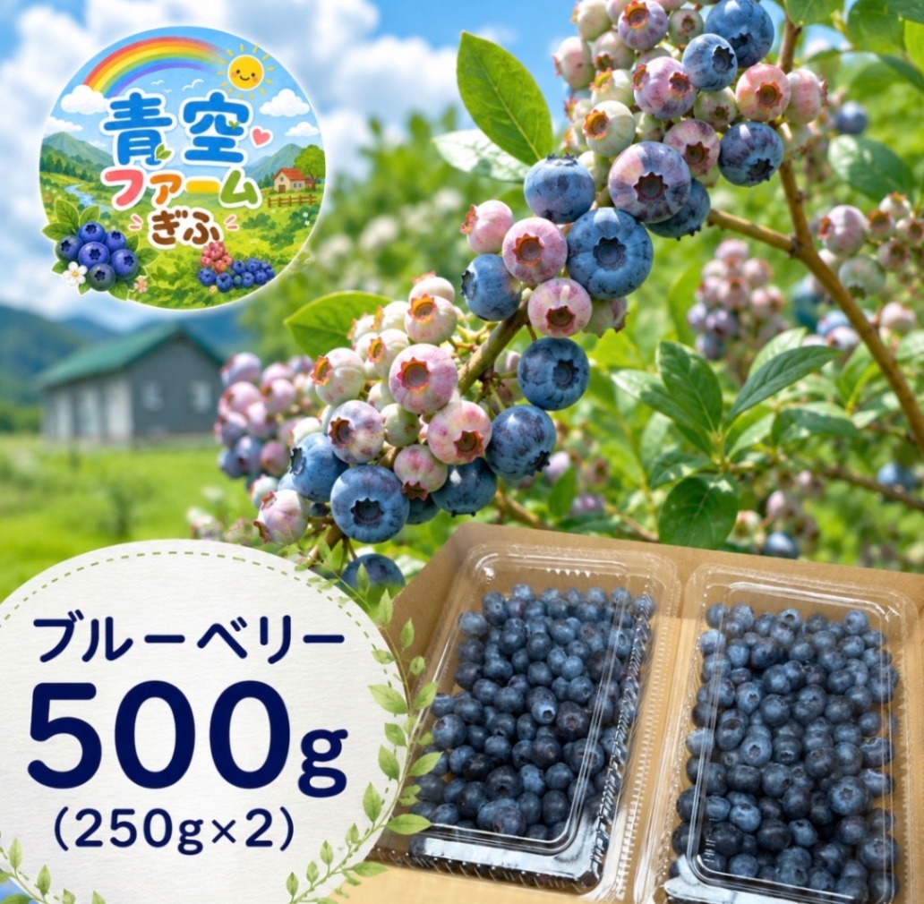 【自家栽培】岐阜県産ブルーベリー　500g 