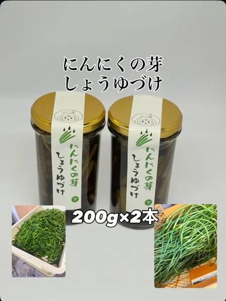 にんにくの芽醤油漬け
(200g×2本) 200本限定
農薬不使用、化学肥料不使用