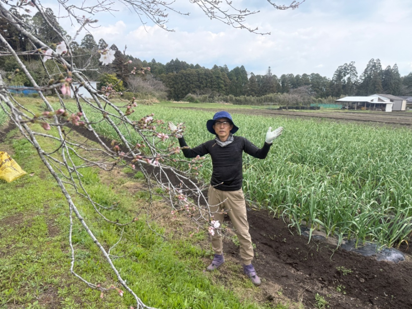 にんにくの芽醤油漬け
(200g×2本) 200本限定
農薬不使用、化学肥料不使用