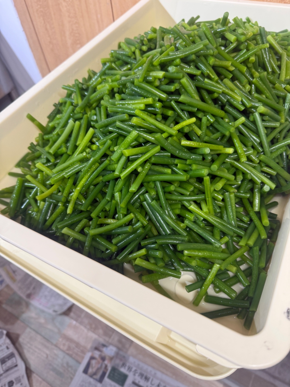 にんにくの芽醤油漬け
(200g×2本) 200本限定
農薬不使用、化学肥料不使用