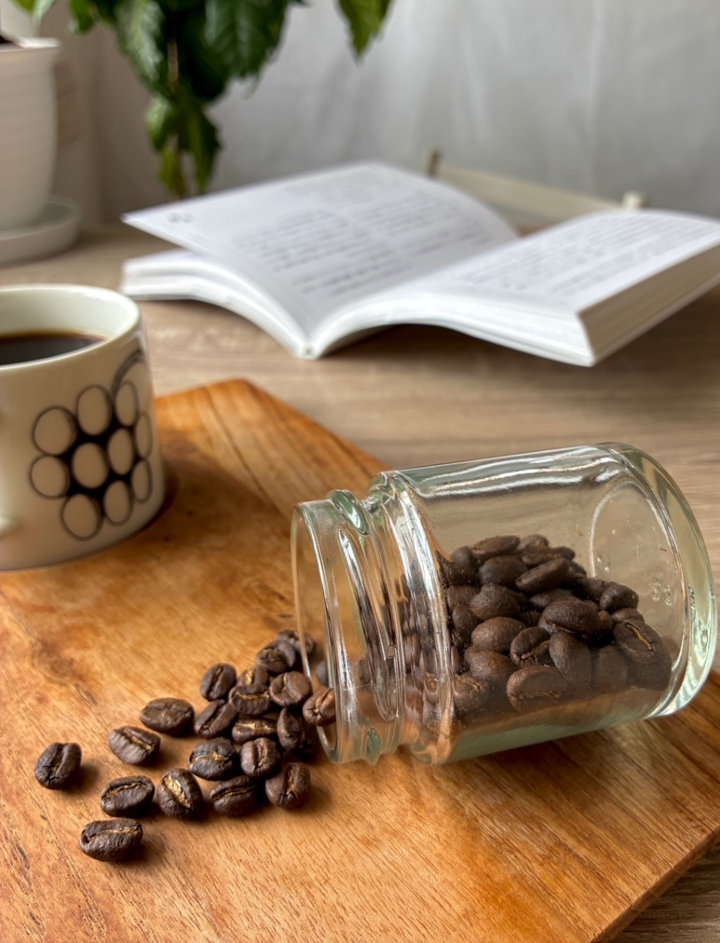 コーヒー　中深煎り　コーヒーマイスターお勧め☕︎ 家事や作業はちょっと置いといてフィーカしませんか？