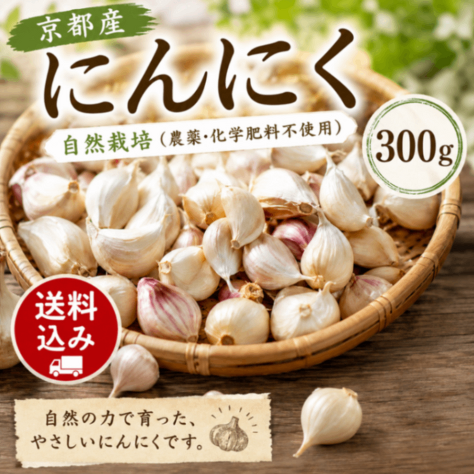 安全・新鮮！！】熊本県産 希少 2年ものらっきょう 2kg 栽培期間中農薬