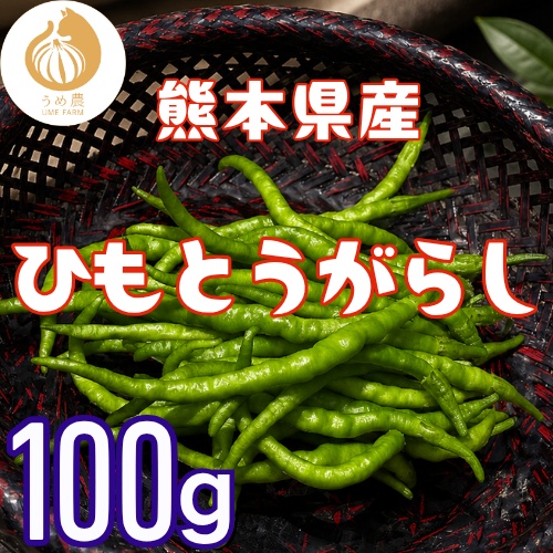 【伝統野菜】熊本県産 ひもとうがらし100g 栽培中農薬不使用