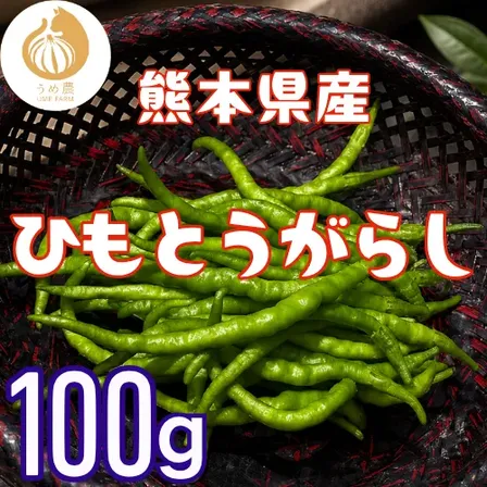 【伝統野菜】熊本県産 ひもとうがらし100g 栽培期間中農薬不使用　※収穫出来次第のお届けになります