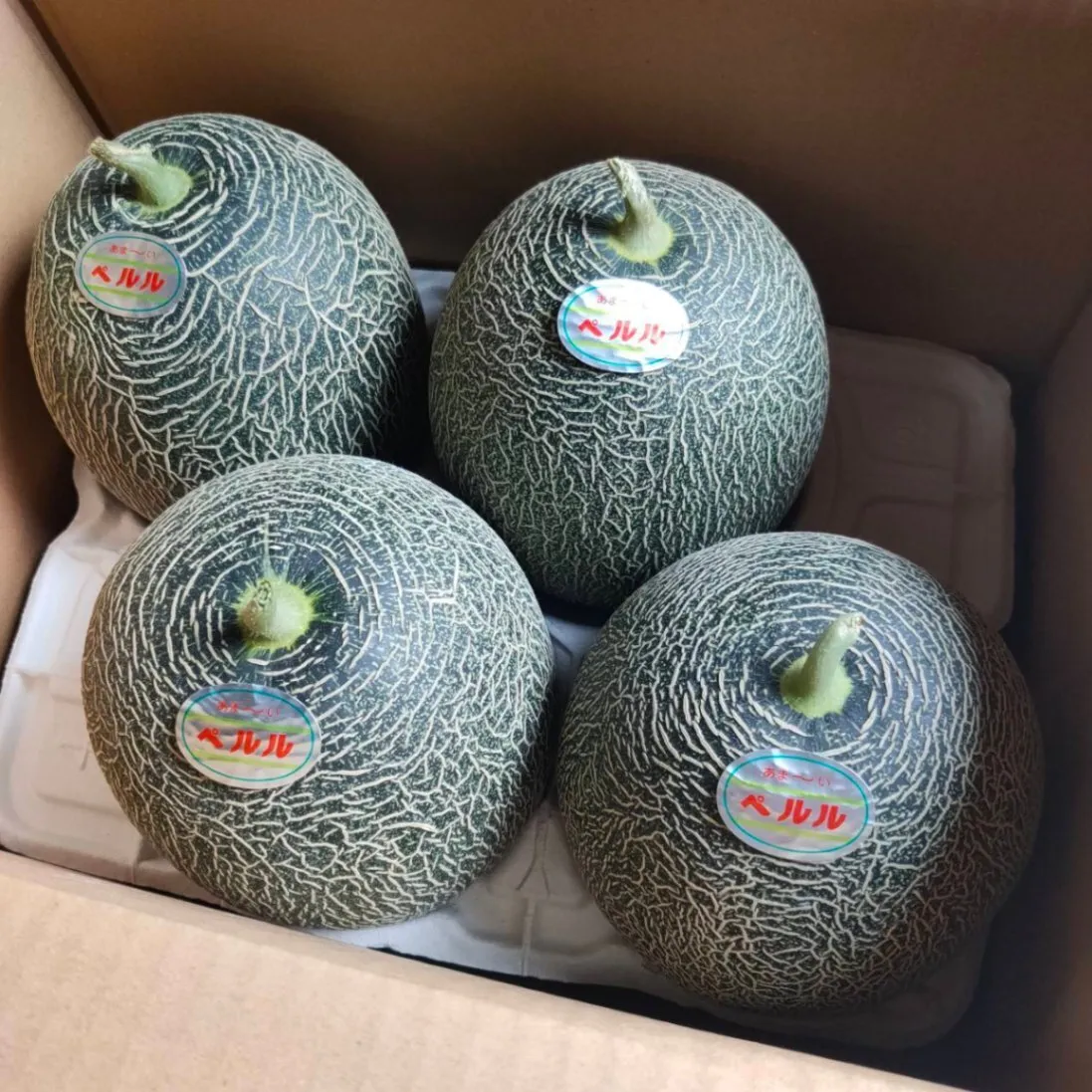 【月末セール】ペルルメロン 4,5玉 約5.5〜7.5kg 糖度：16〜18度 鳥取県産