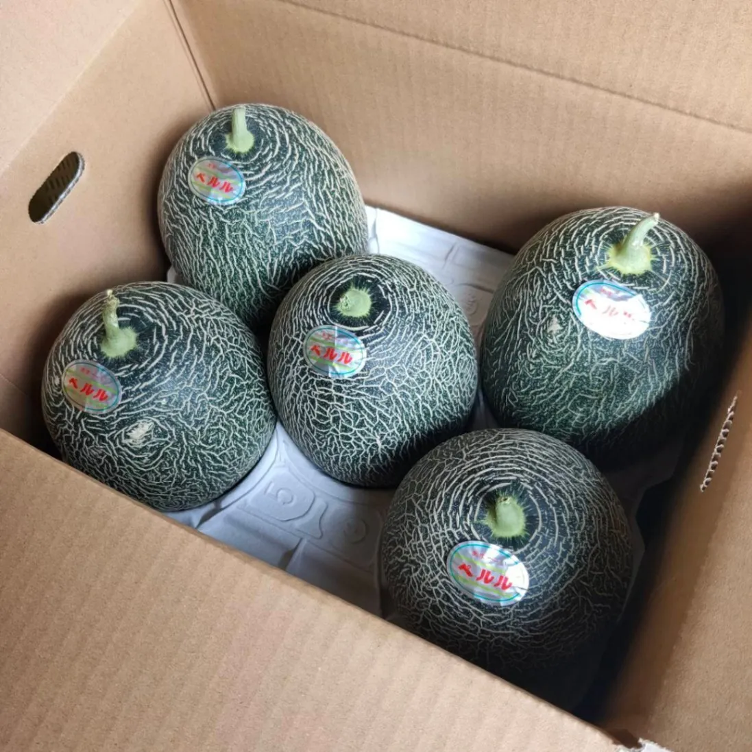 【月末セール】ペルルメロン 4,5玉 約5.5〜7.5kg 糖度：16〜18度 鳥取県産