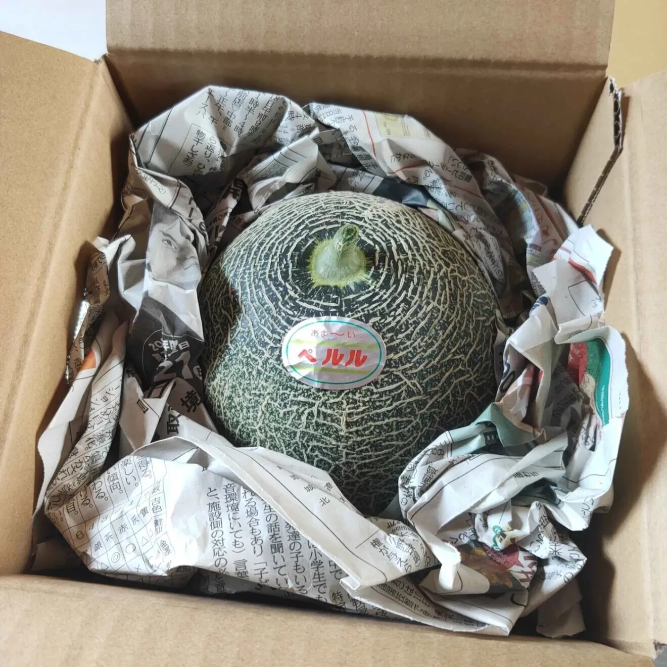 【月末セール】ペルルメロン 1玉 約1.7-2.1kg とろける甘さ 糖度：16〜18度 鳥取県