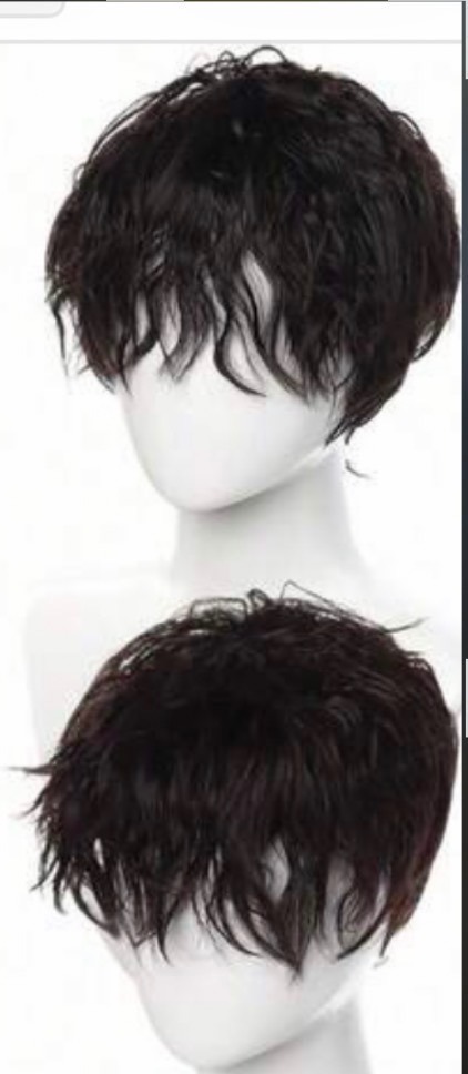 限定価格＊メンズパーマ＊ウィッグ＊ブラック