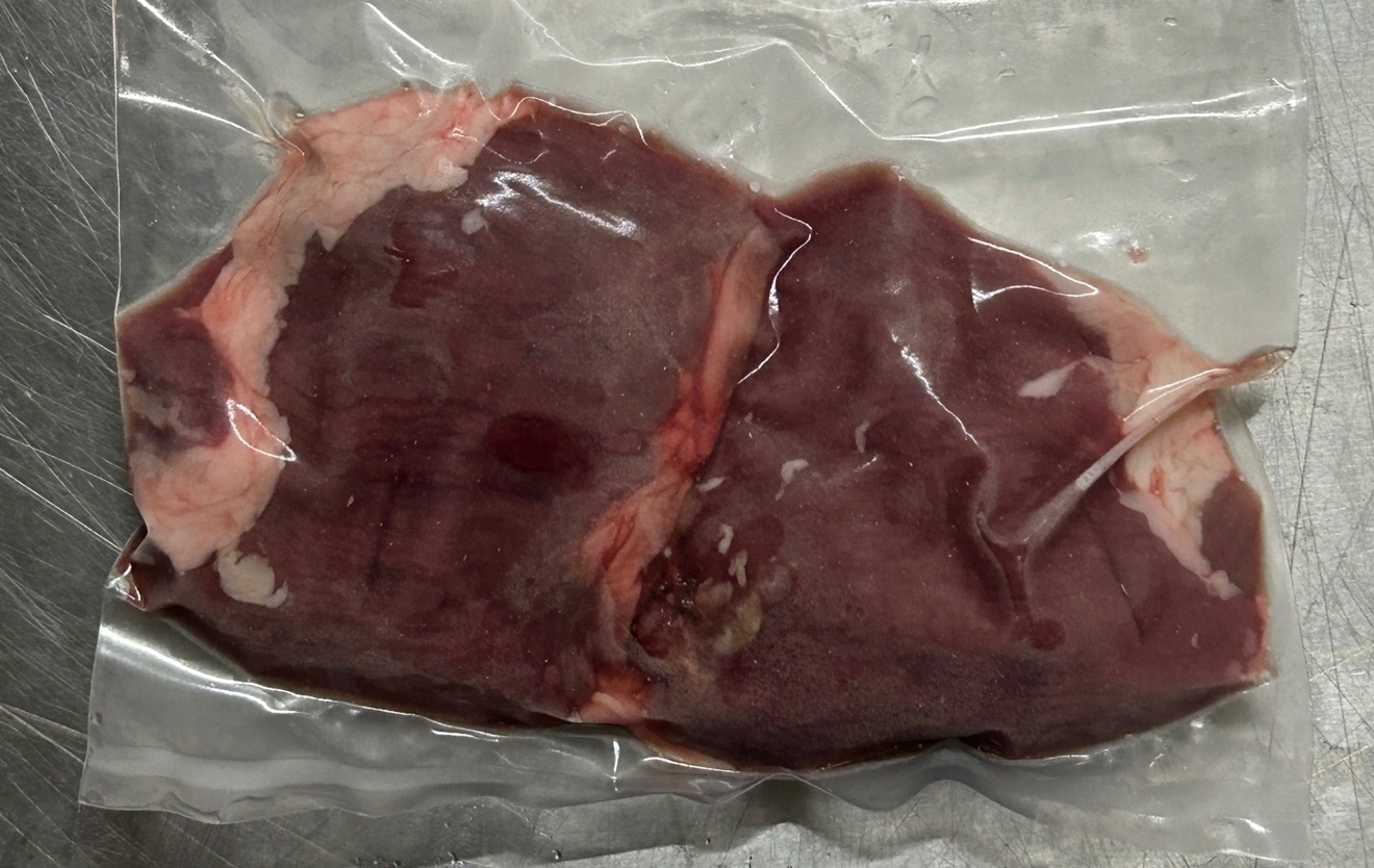 イノシシ　ハラミ　50g (冷凍)