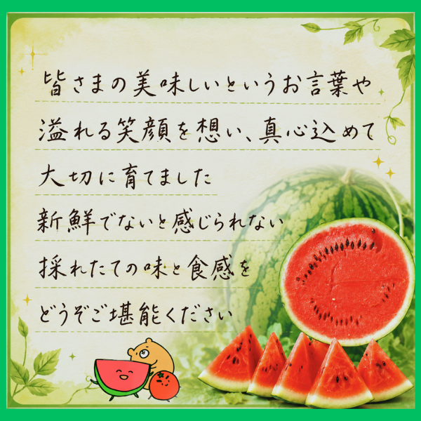 販売ページが変更になりました🍉詳しくはコメント欄から🍉大玉スイカ 2