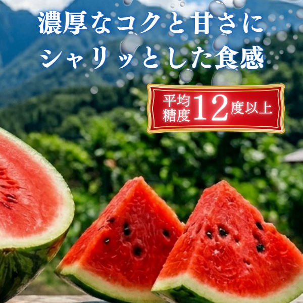 【熊本県産】羅皇ザ・スウィート 大玉スイカ 約10kg  大玉  夏の贅沢フルーツ
