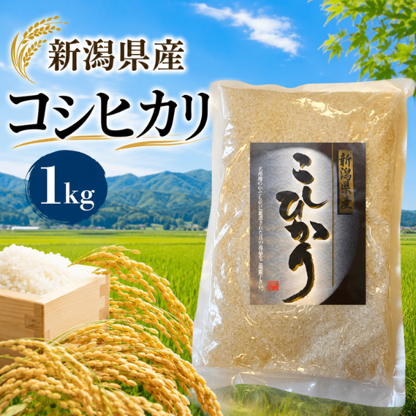 【新潟県産】令和７年産 コシヒカリ 新米 白米 1kg おためし ギフトにも🎁