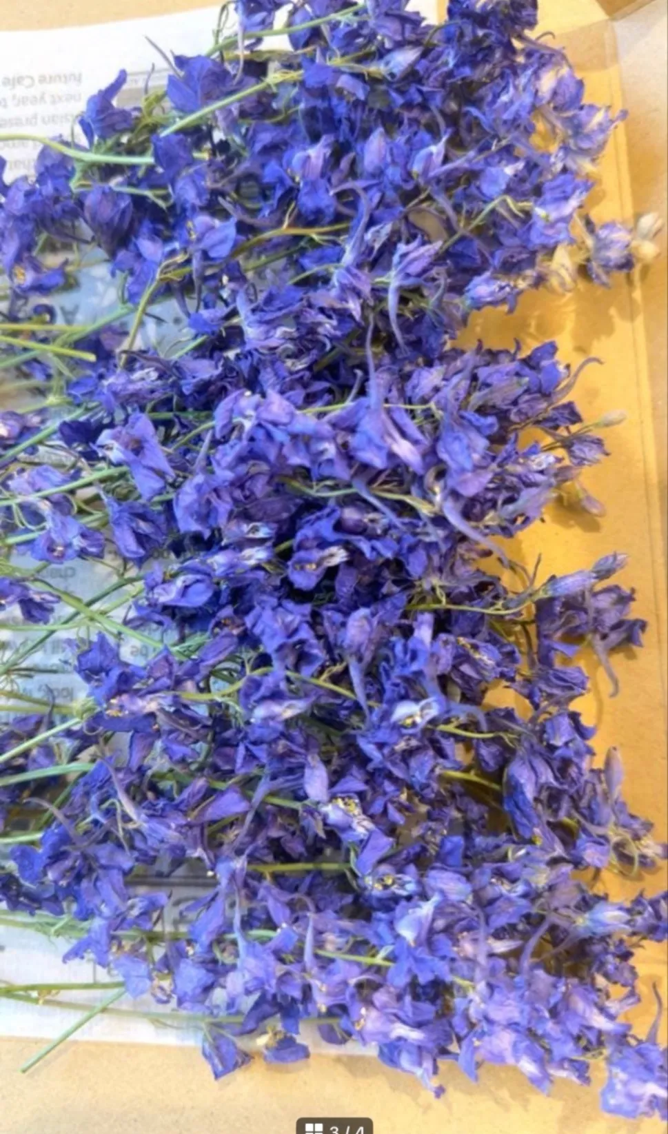 千鳥草ドライフラワー☆ラークスパードライフラワー☆ドライフラワー花材☆