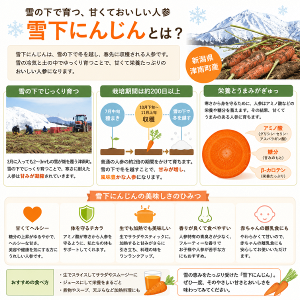 雪下人参 五目ちらし寿司の素 国産 ゆず香る 新潟県津南町産 2合用 ポイント消費にも◎ 🥕