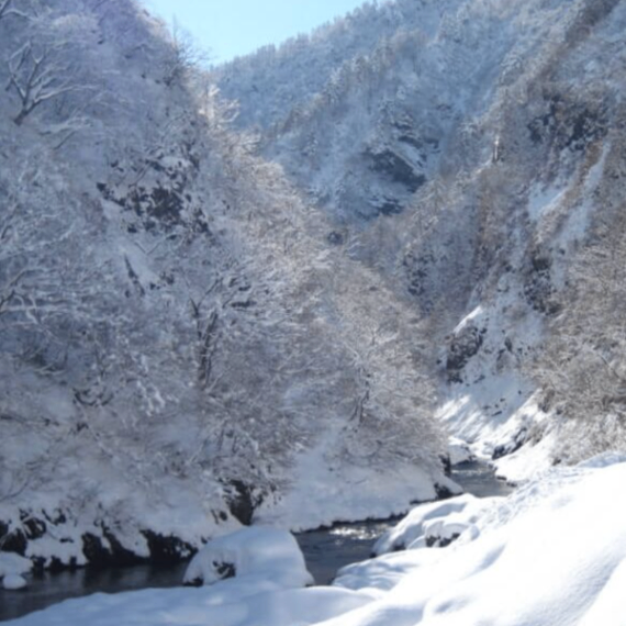 雪下人参 五目ちらし寿司の素 国産 ゆず香る 新潟県津南町産 2合用 ポイント消費にも◎ 🥕