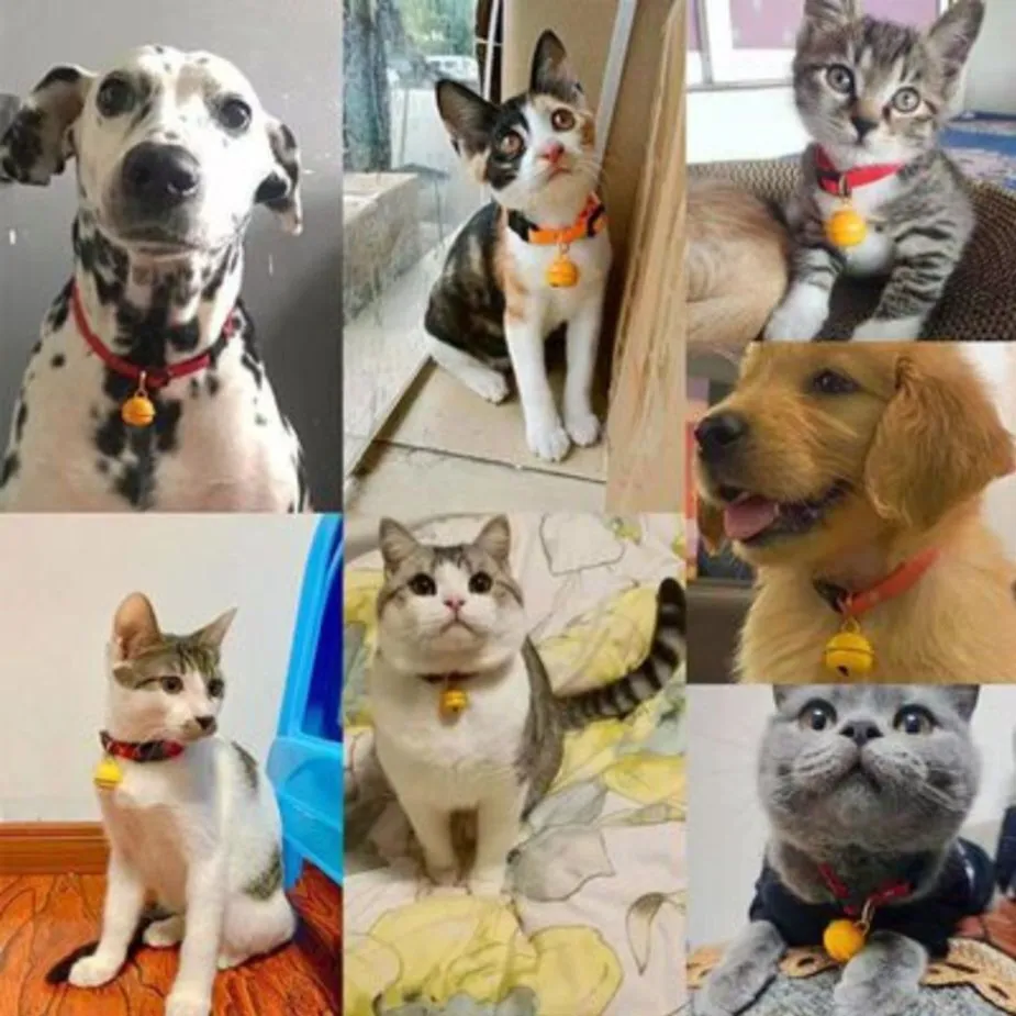 猫用 黄色い鈴 首輪 ペット 猫 犬 鈴 かわいい おしゃれ 鈴付き 大きな鈴 プレゼント