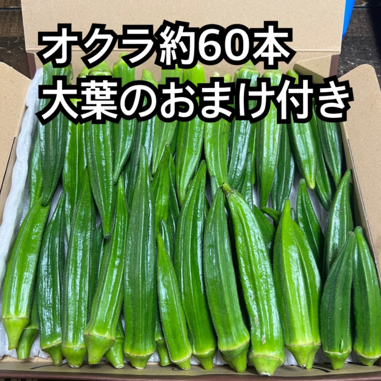 夏を乗り切るネバ薬味セット！オクラ 60本 ＋ 大葉