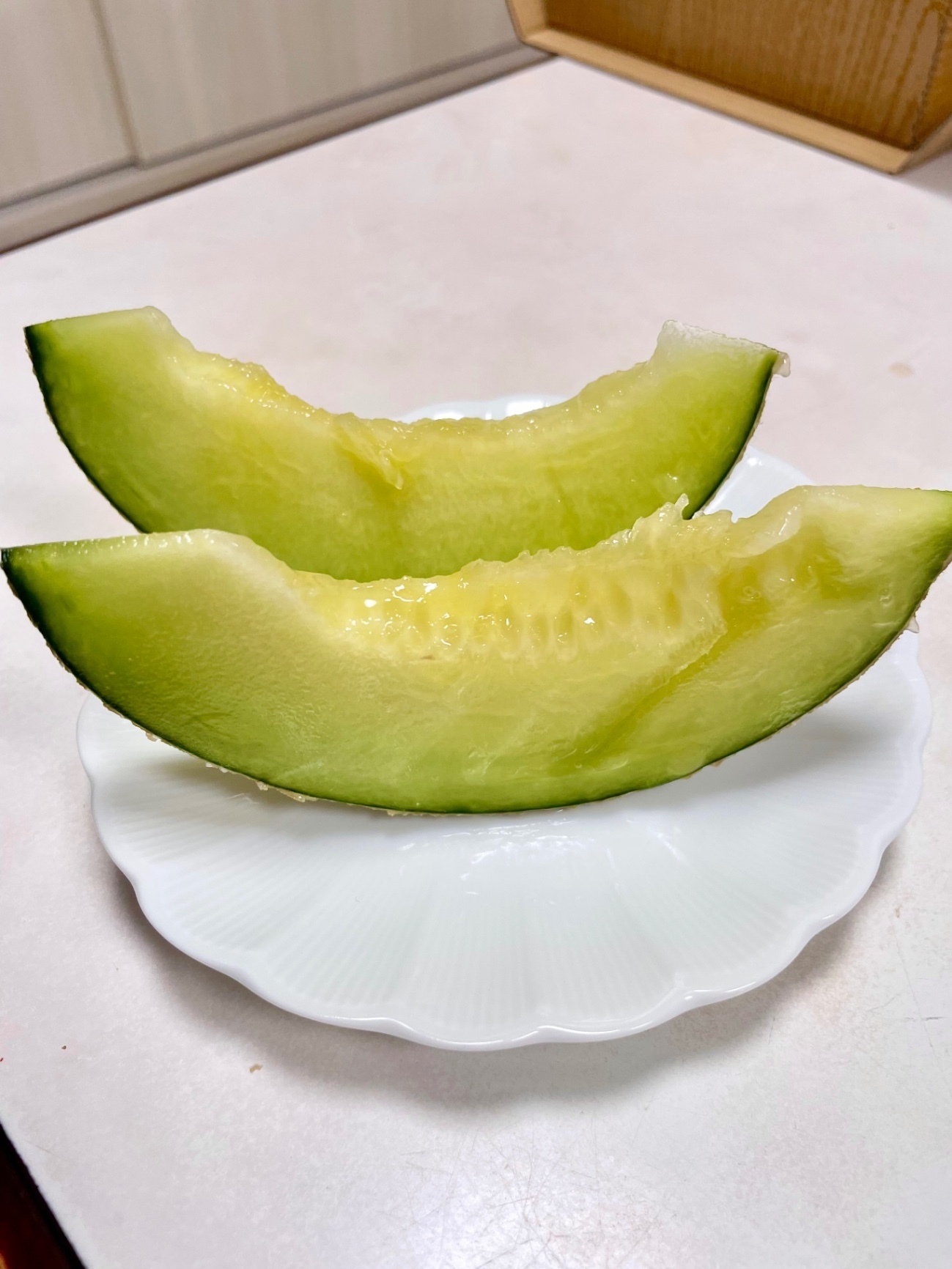 庄内砂丘特産アンデスメロン