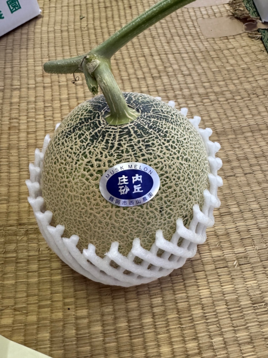 庄内砂丘特産アンデスメロン