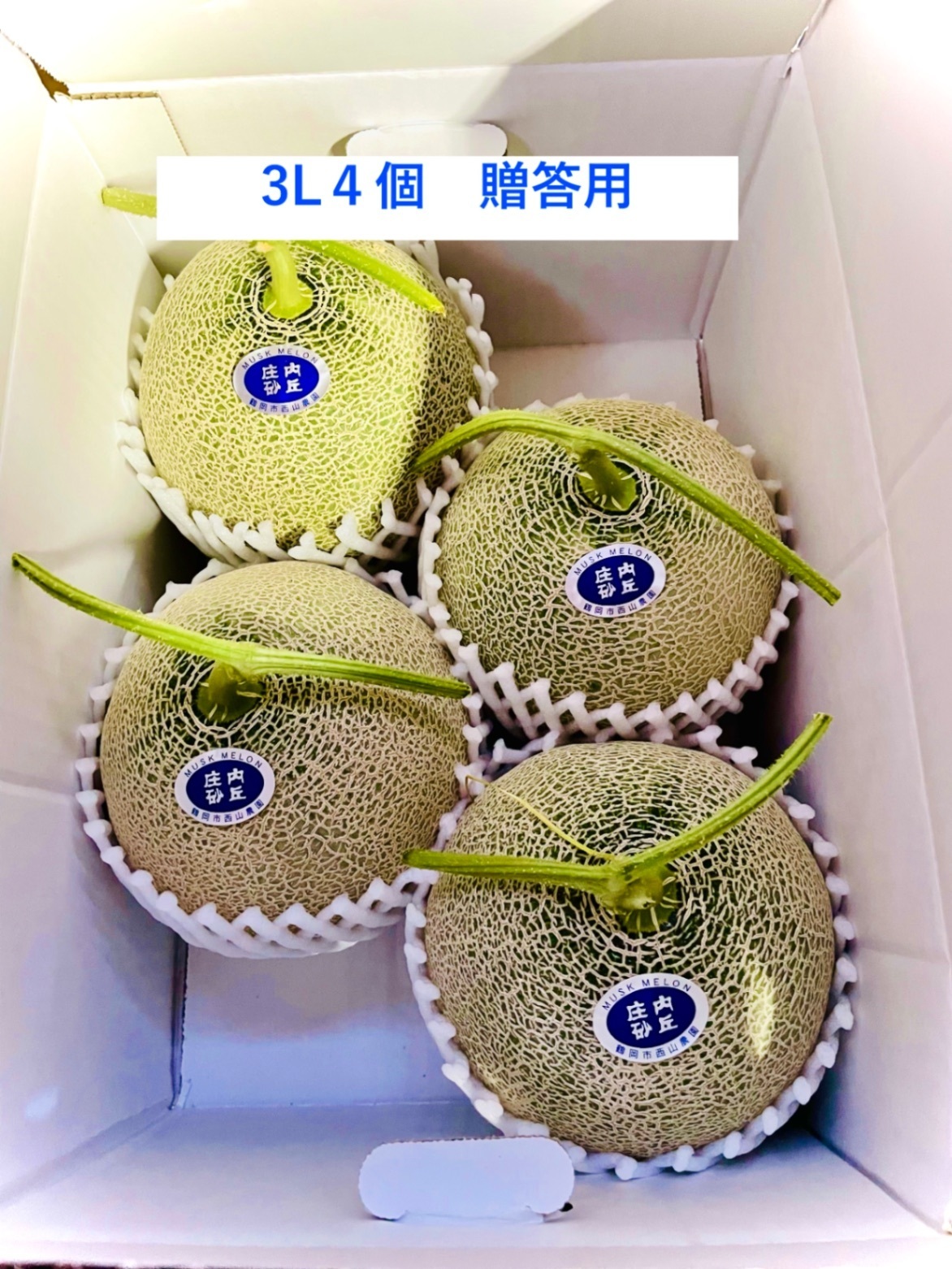 庄内砂丘特産アンデスメロン