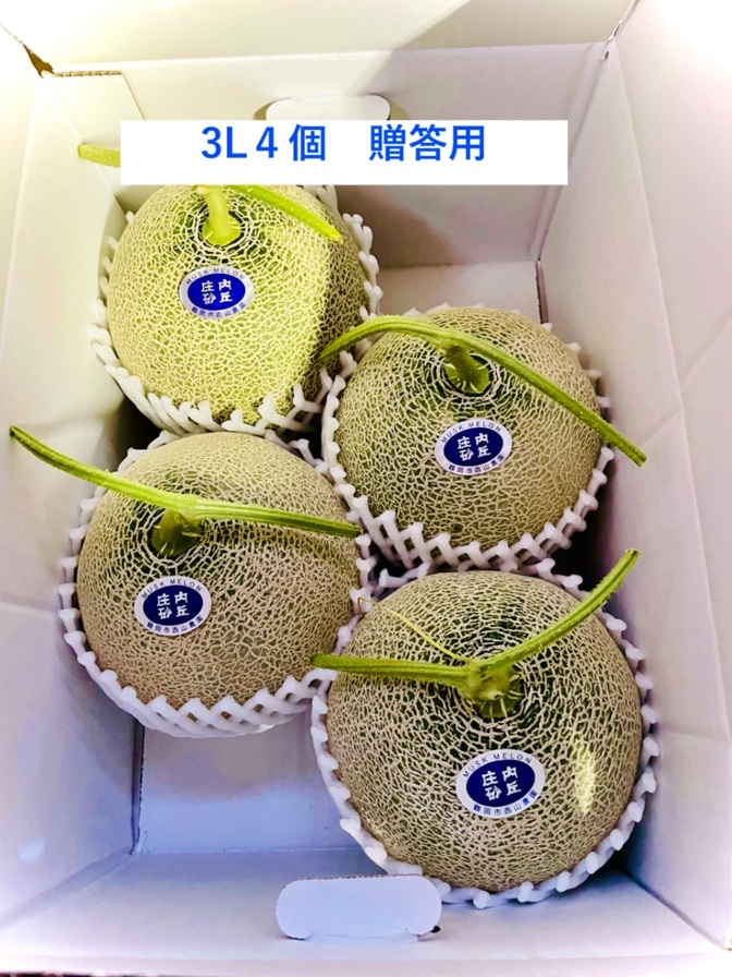 庄内砂丘特産アンデスメロン