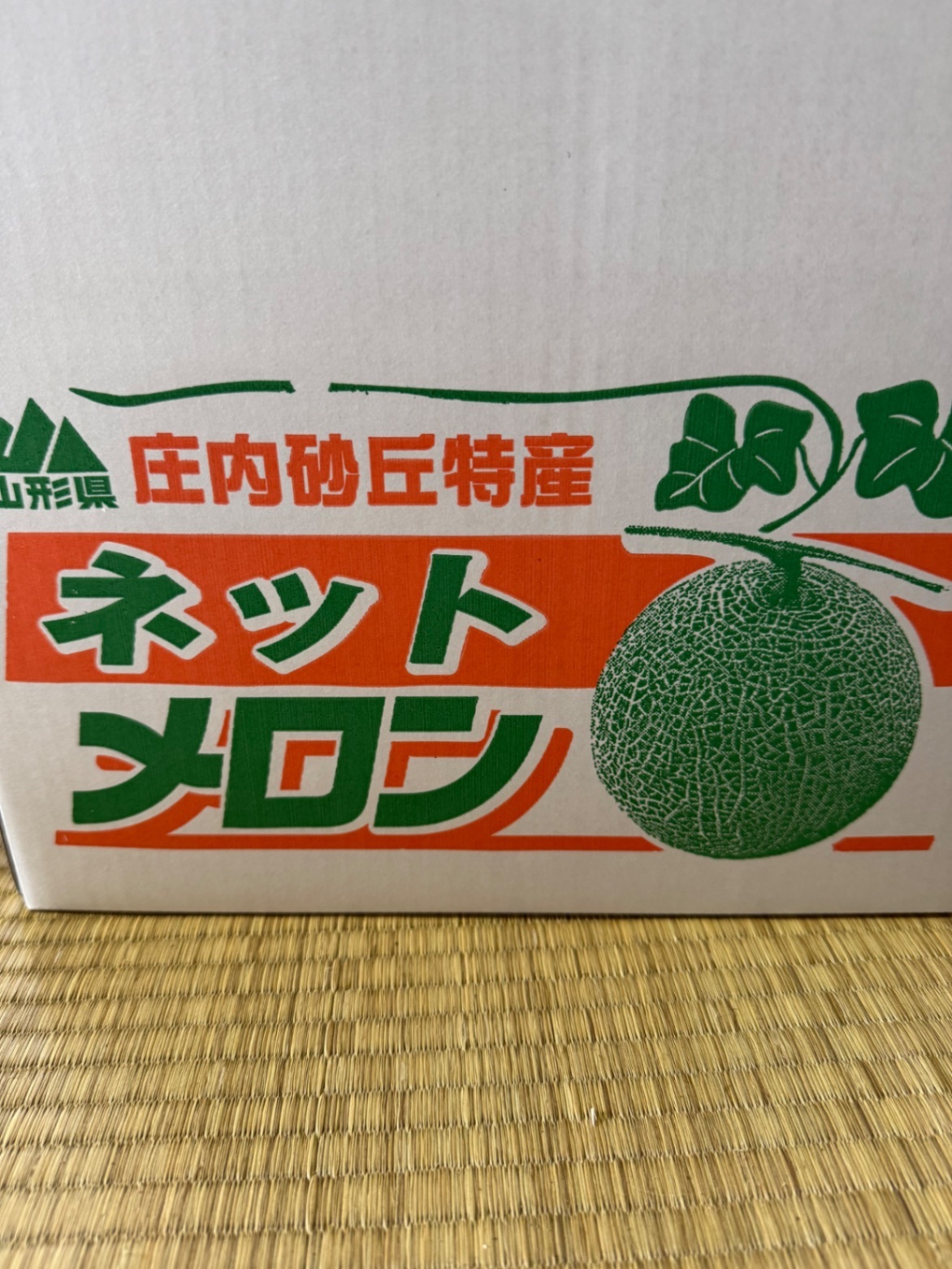 庄内砂丘特産アンデスメロン