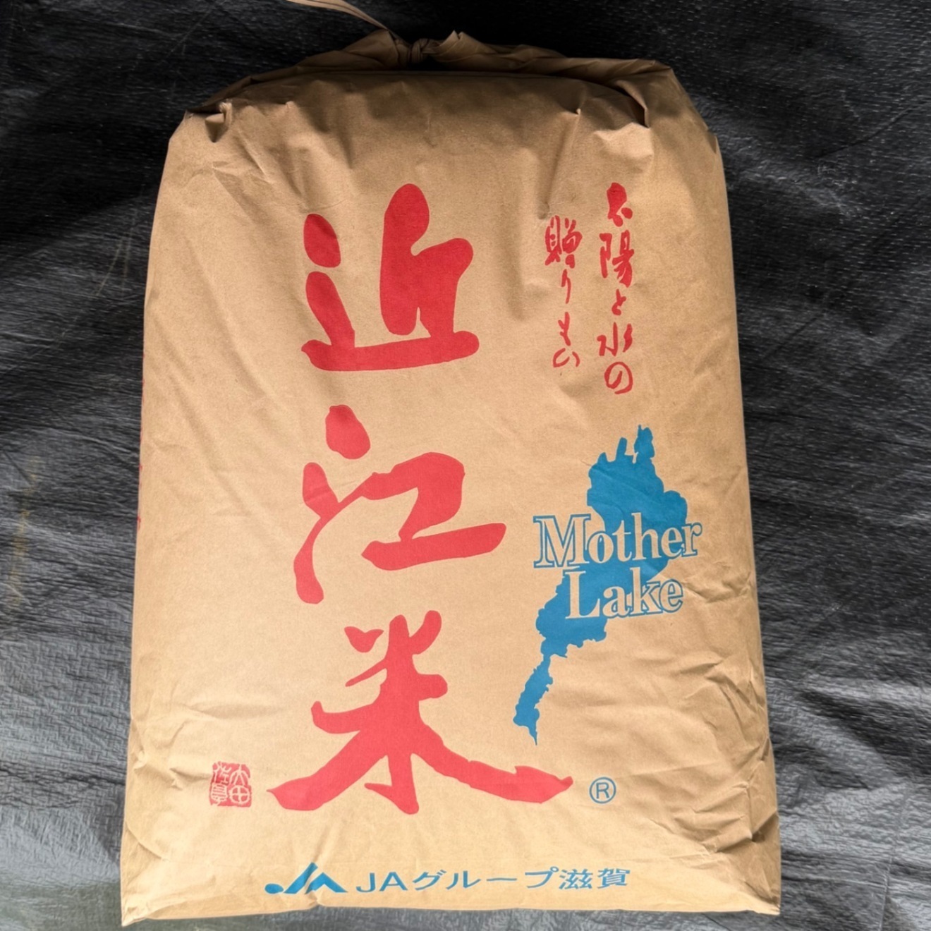 【精米９キロ】 滋賀県環境こだわり製法特別栽培米 光選別機使用 低温庫保管 近江米コシヒカリ