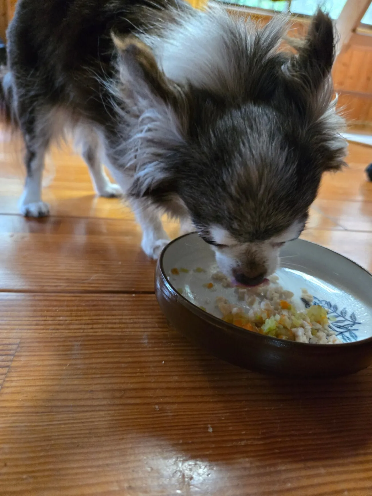 【鶏ササミもぐもぐ】冷凍のドッグフードです。