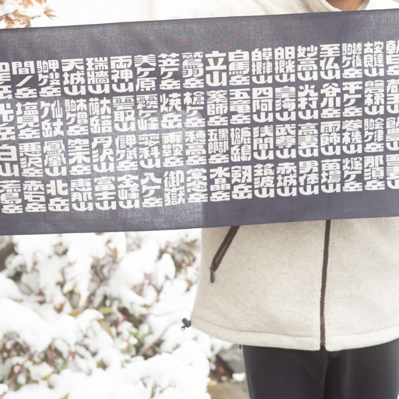 【登山用の手ぬぐい】　日本百名山手ぬぐい　あの山この山　色：こいあい