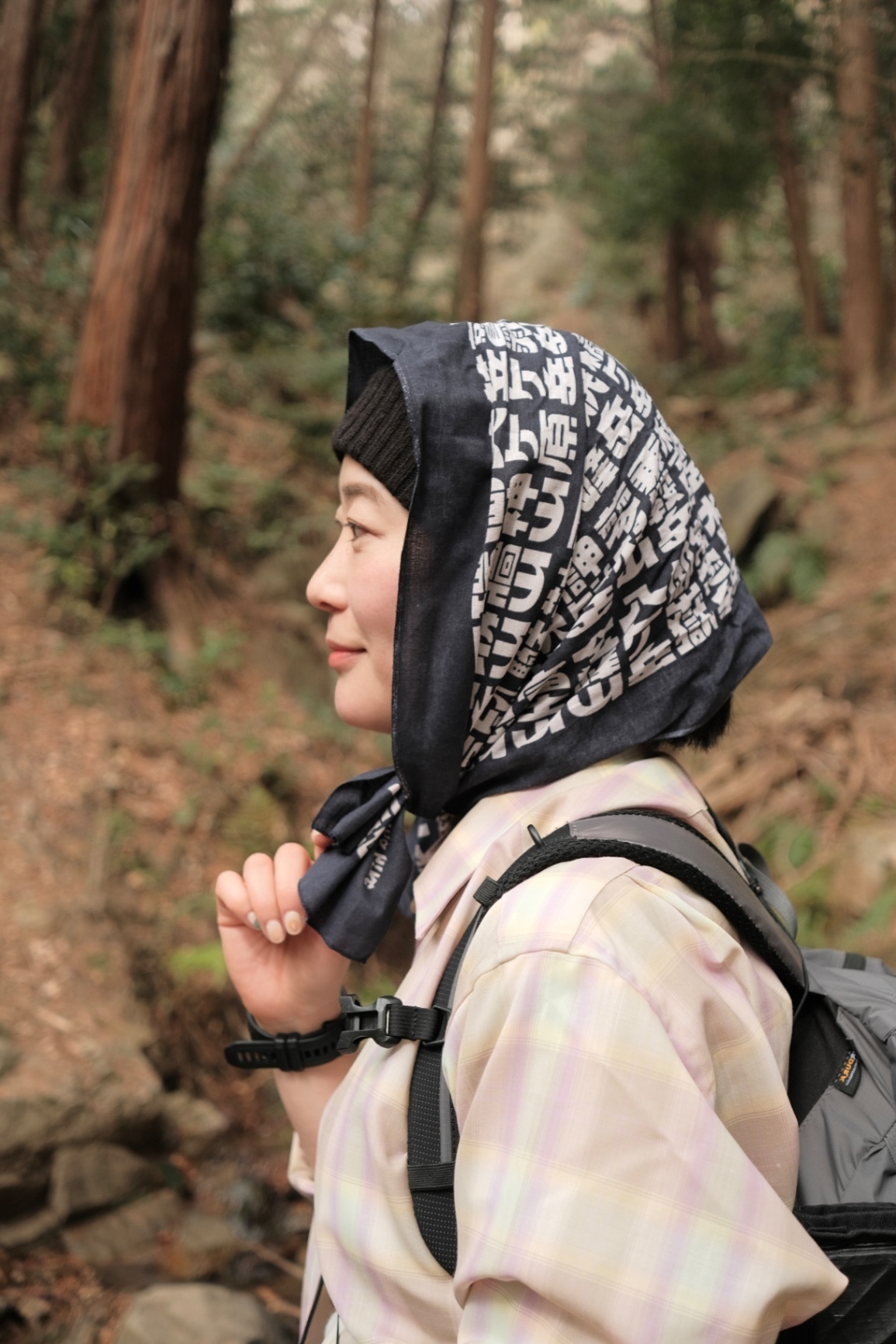 【登山用の手ぬぐい】　日本百名山手ぬぐい　あの山この山　色：こいあい