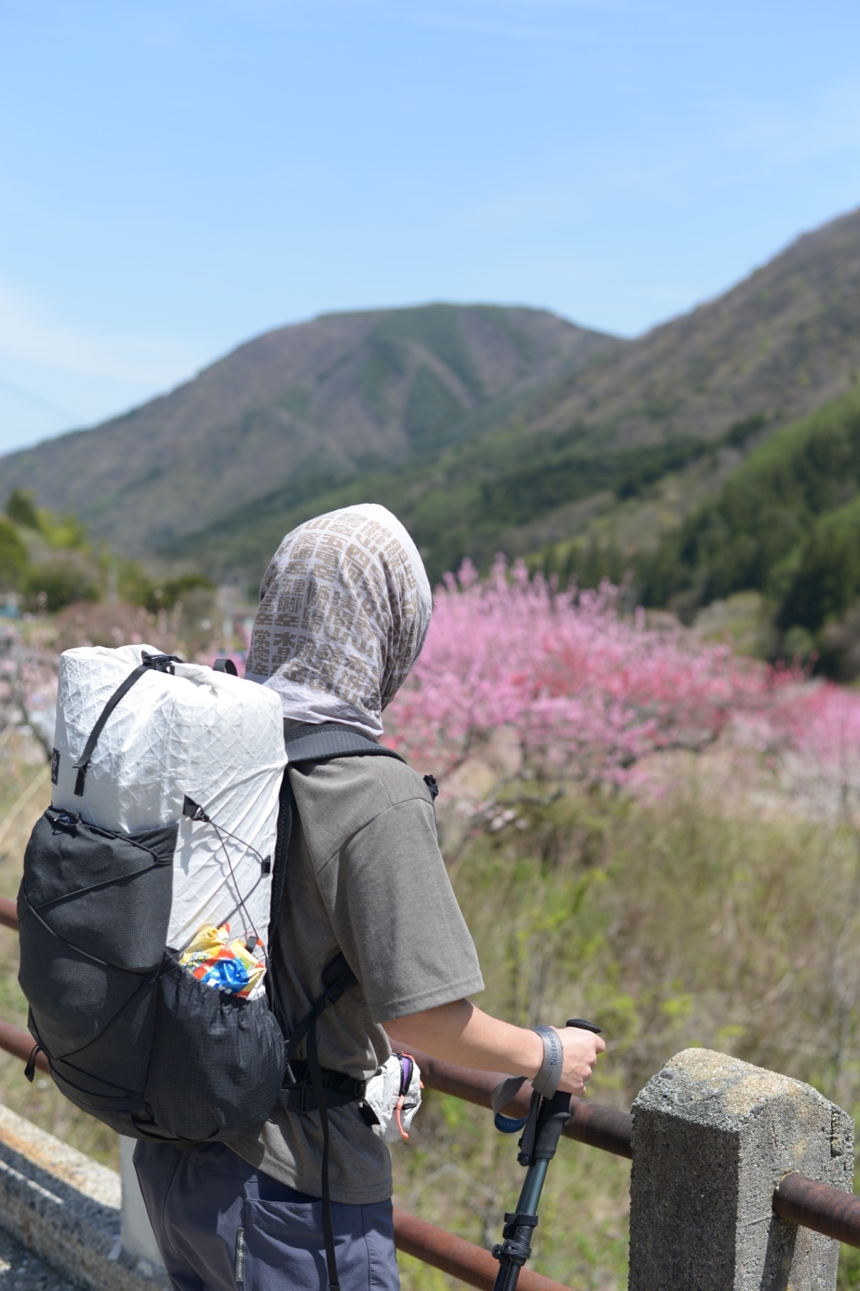 【登山用の手ぬぐい】　日本百名山手ぬぐい　あの山この山　色：かすみ