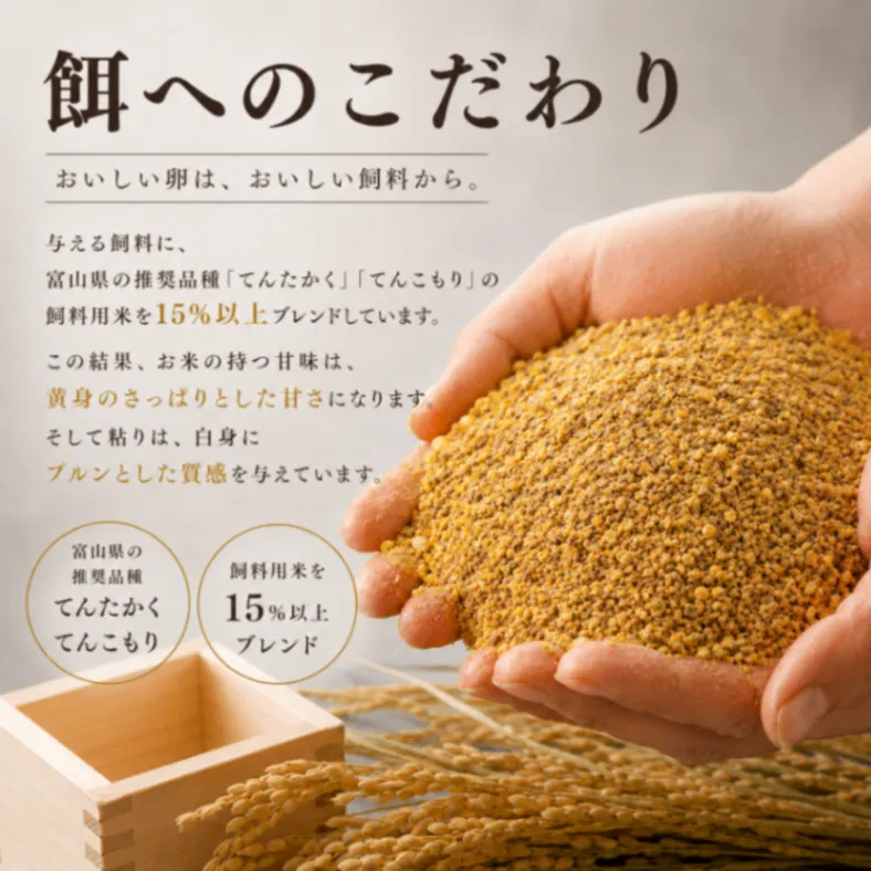 【賞味期限が長い】【お試し価格】富山のおいしい朝どれ卵10個入り