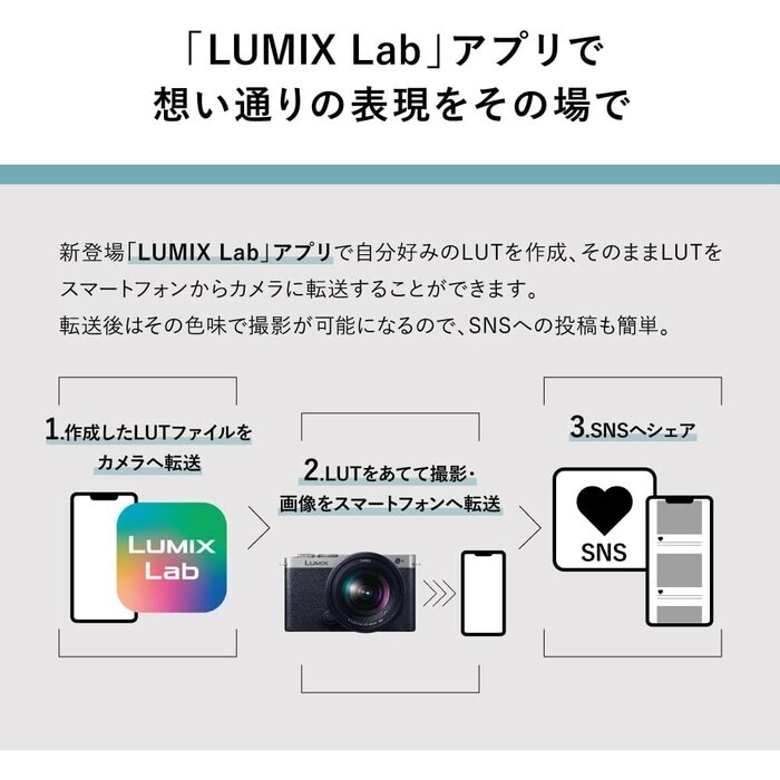 Panasonic LUMIX S9N 広角ズームレンズキット ダークシルバー DC-S9N-S