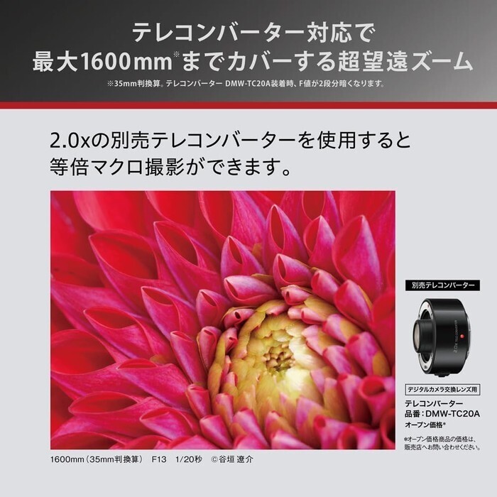 Panasonic LEICA DG 100-400mm II H-RSA100400