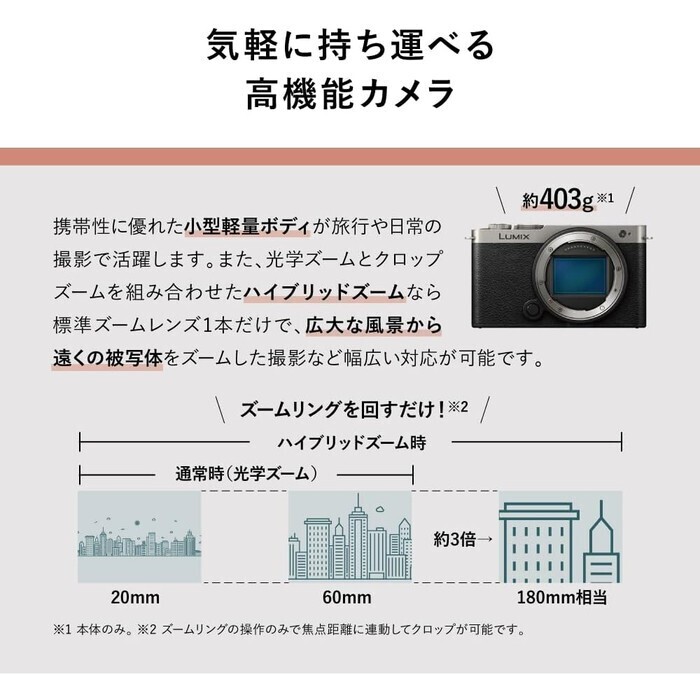 【延長3年保証】Panasonicデジタル一眼カメラ　DC-S9W-D
