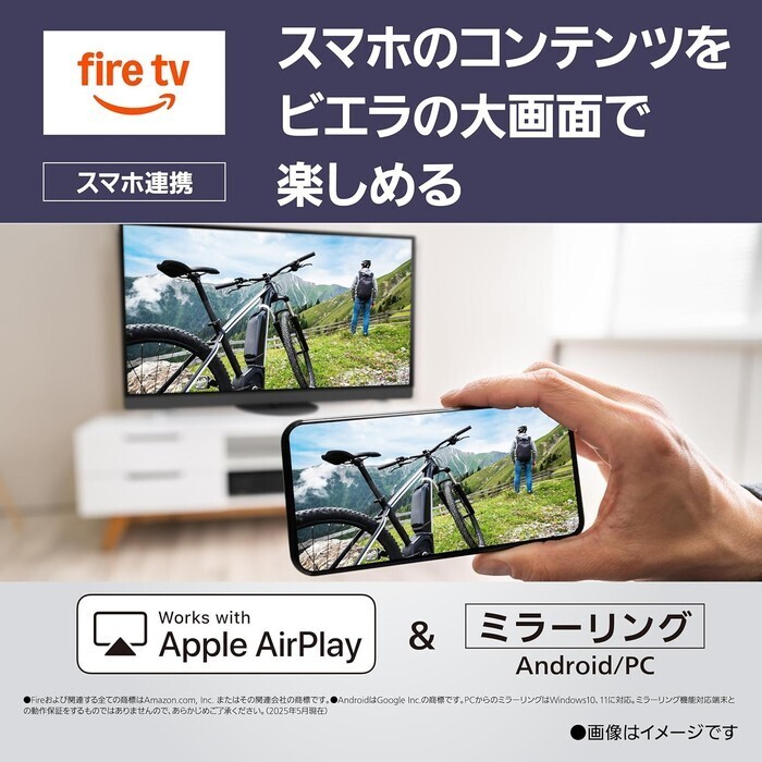 【延長3年保証】Panasonicデジタルハイビジョン有機ELテレビ　TV-42Z90B