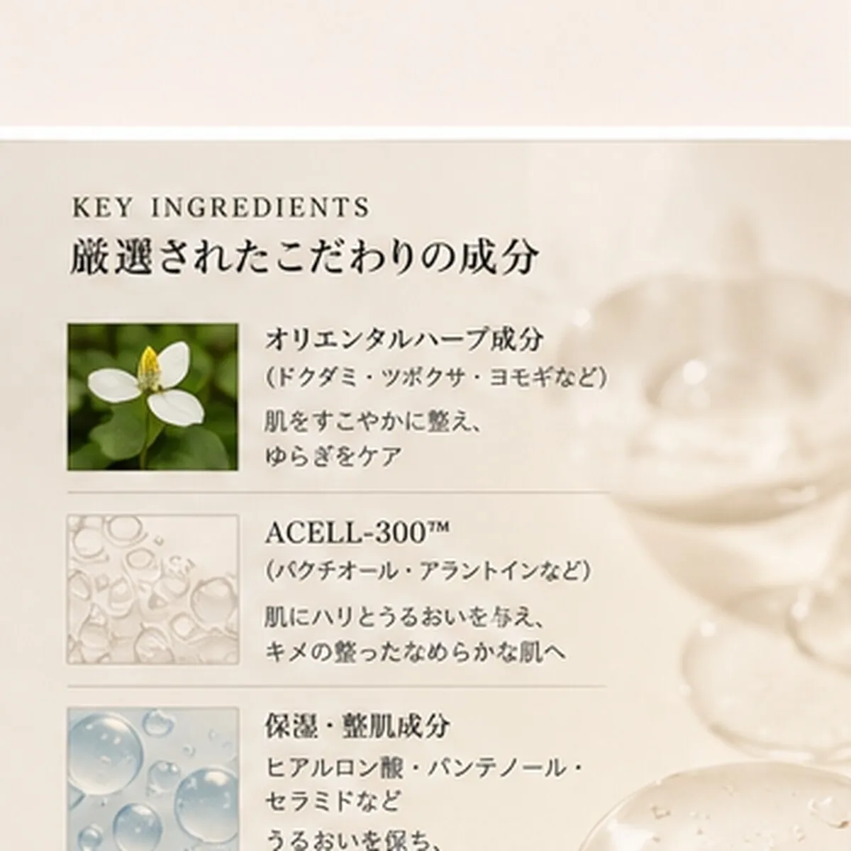 【在庫限り10%OFF】ラダメール ピールパッド＋セラム セット｜送料無料