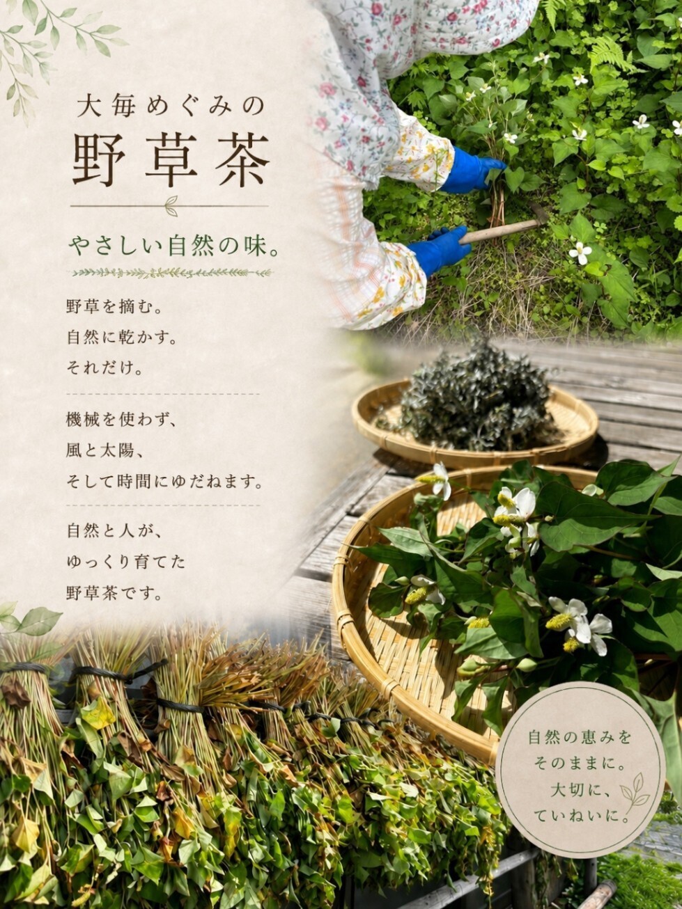 大毎めぐみの野草茶｜3種類から選べるオリジナルブレンド