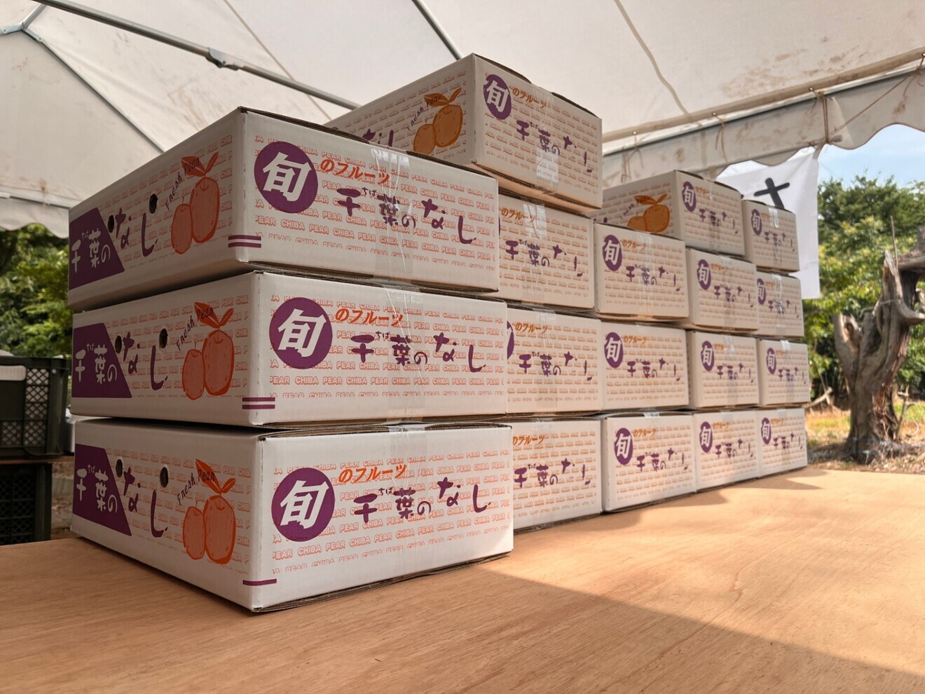 梨：豊水】家庭用 5kg サイズおまかせ 関東送料込｜千葉の梨農家から朝
