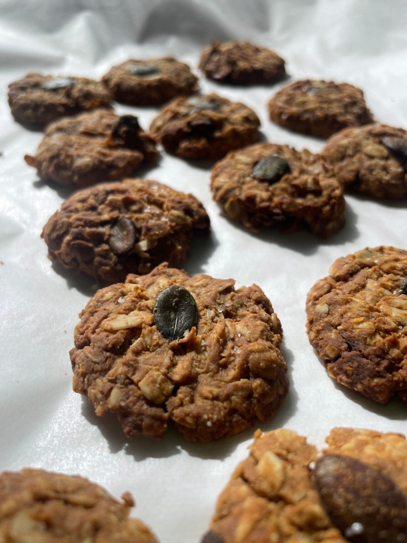 ザクザク腸活4種！オーツクッキーとグラノーラ。グルテンフリー,VEGAN【お中元・夏ギフト】