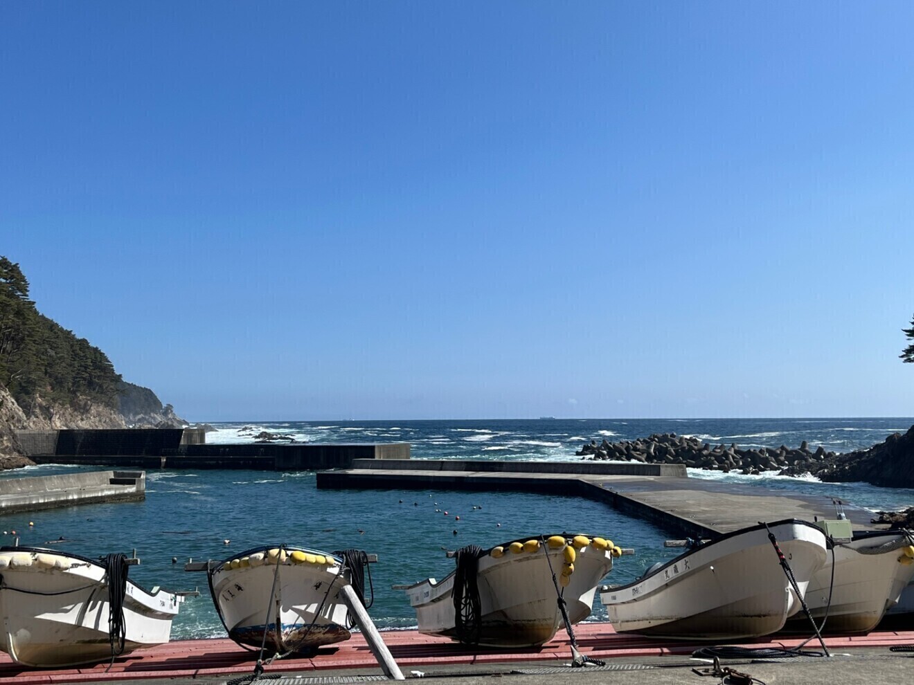 塩蔵わかめ　５00g
大船渡市　三陸　吉浜産
【お中元・夏ギフト】