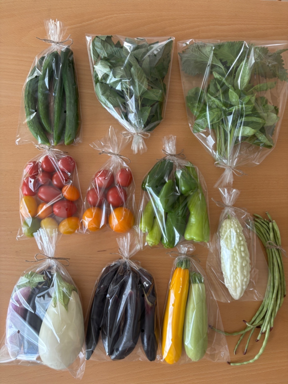 7/10(金)本日発送！【農薬不使用】季節の野菜セット🥒🍅🍆🫑80サイズクール便🎁