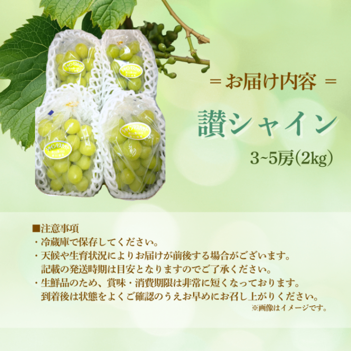 【お中元・夏ギフト】ぶどうシャインマスカット２ｋｇ（3〜5房）