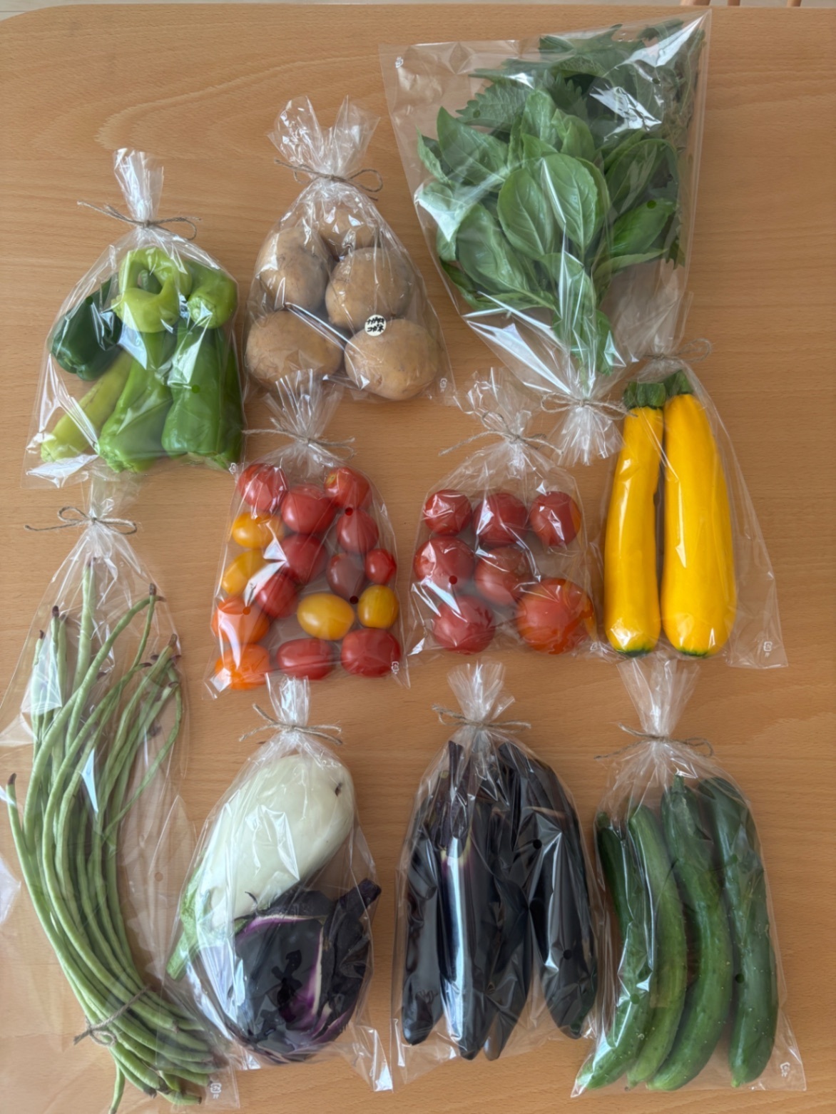 7/10(金)本日発送！【農薬不使用】季節の野菜セット🥒🍅🍆🫑80サイズクール便🎁