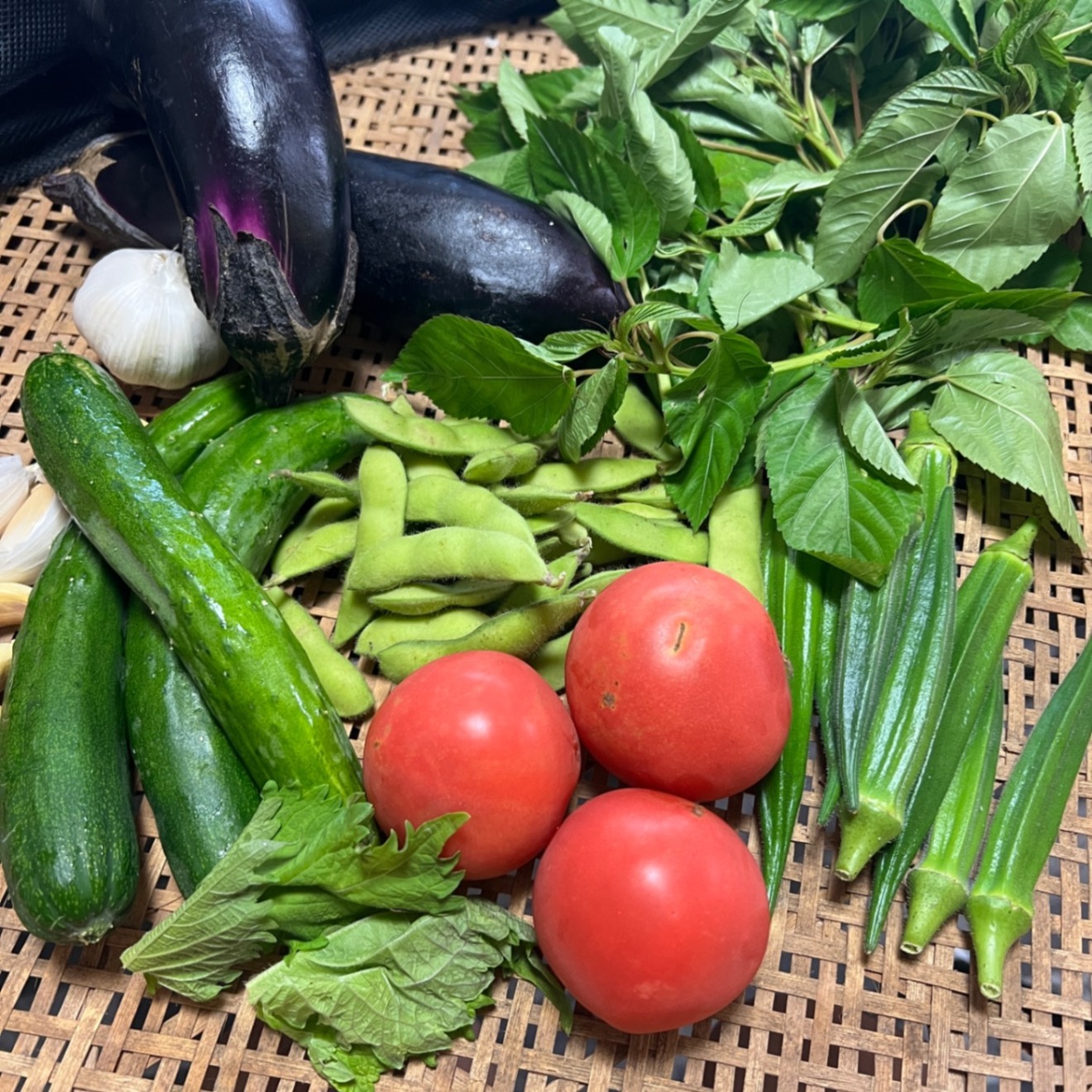 【夏野菜7種セット】🍅トマト・🫛枝豆・🥒きゅうり・🍆ナス・オクラ・🌱大葉・🌱モロヘイヤ🧄ニンニク
