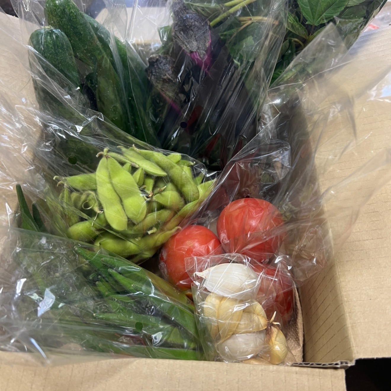 【夏野菜7種セット】🍅トマト・🫛枝豆・🥒きゅうり・🍆ナス・オクラ・🌱大葉・🌱モロヘイヤ🧄ニンニク