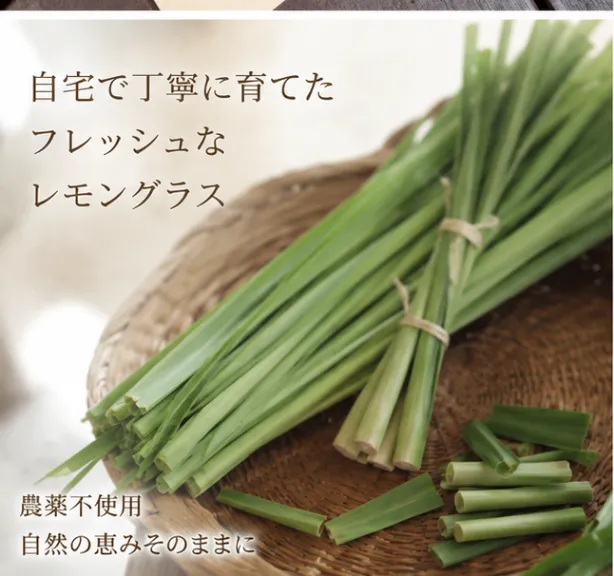 【無農薬】太陽をいっぱい浴びて育った フレッシュレモングラス 🌱150g