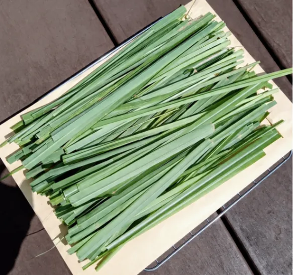 【無農薬】太陽をいっぱい浴びて育った フレッシュレモングラス 🌱150g