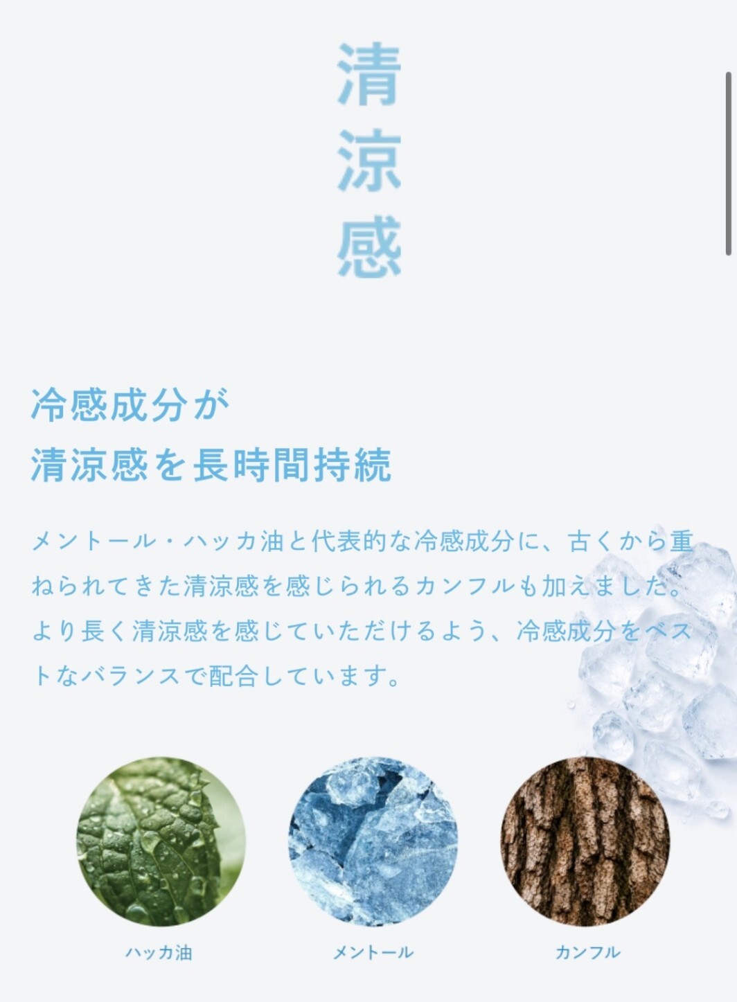 【お中元・夏ギフト】【期間限定】冷感シャンプー×酵素洗顔石けん セット|大切な人へ、心からの贈り物を