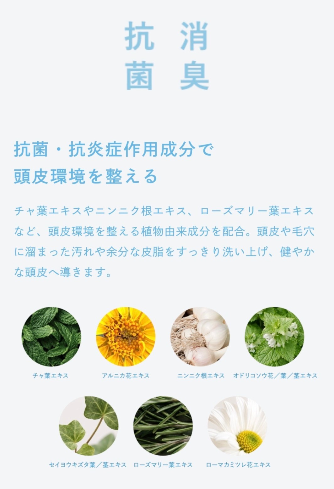 【お中元・夏ギフト】【期間限定】冷感シャンプー×酵素洗顔石けん セット|大切な人へ、心からの贈り物を